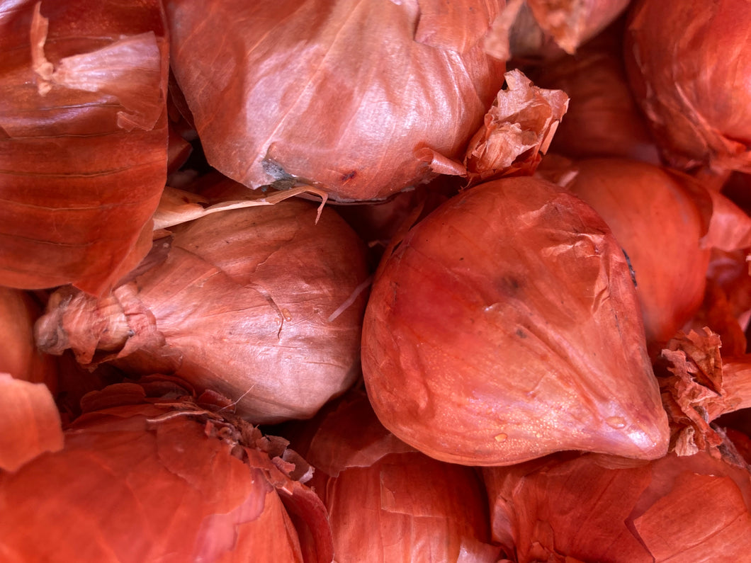 200g of Red Shallots 'Red Sun' Sets/Seed Shallots for Grow-Your-Own Includes Postage