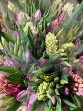 Load image into Gallery viewer, 10 bulbs of Hyacinth (mixed colours) Includes Postage
